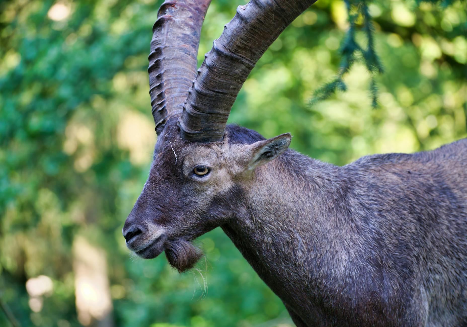 45 Celebrity Capricorns