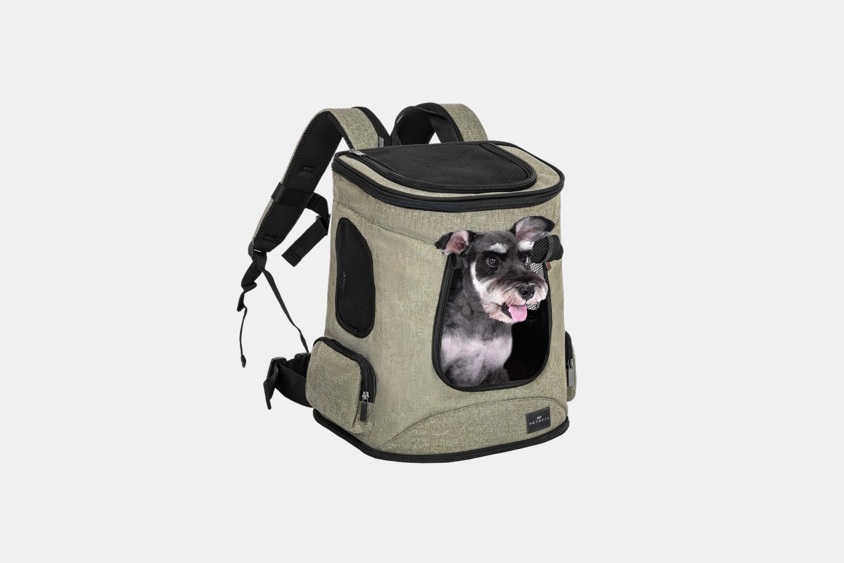 6 Best Dog Carrier Backpacks for Taking Your Pup on the Road