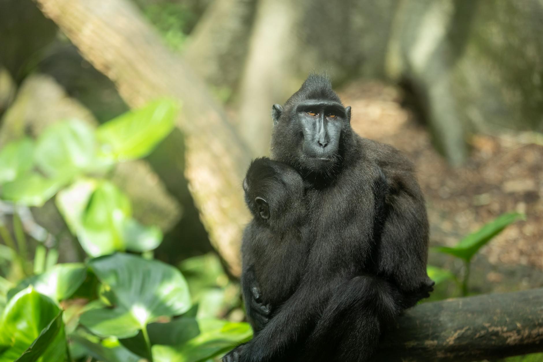 Celebs Who Are Nepo Babies