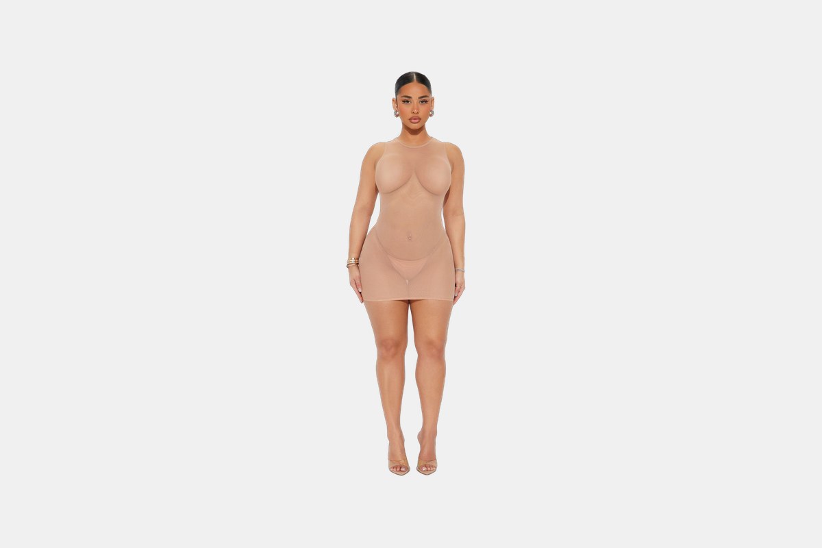 Fashion Nova Nearly Naked Sheer Mesh Mini Dress