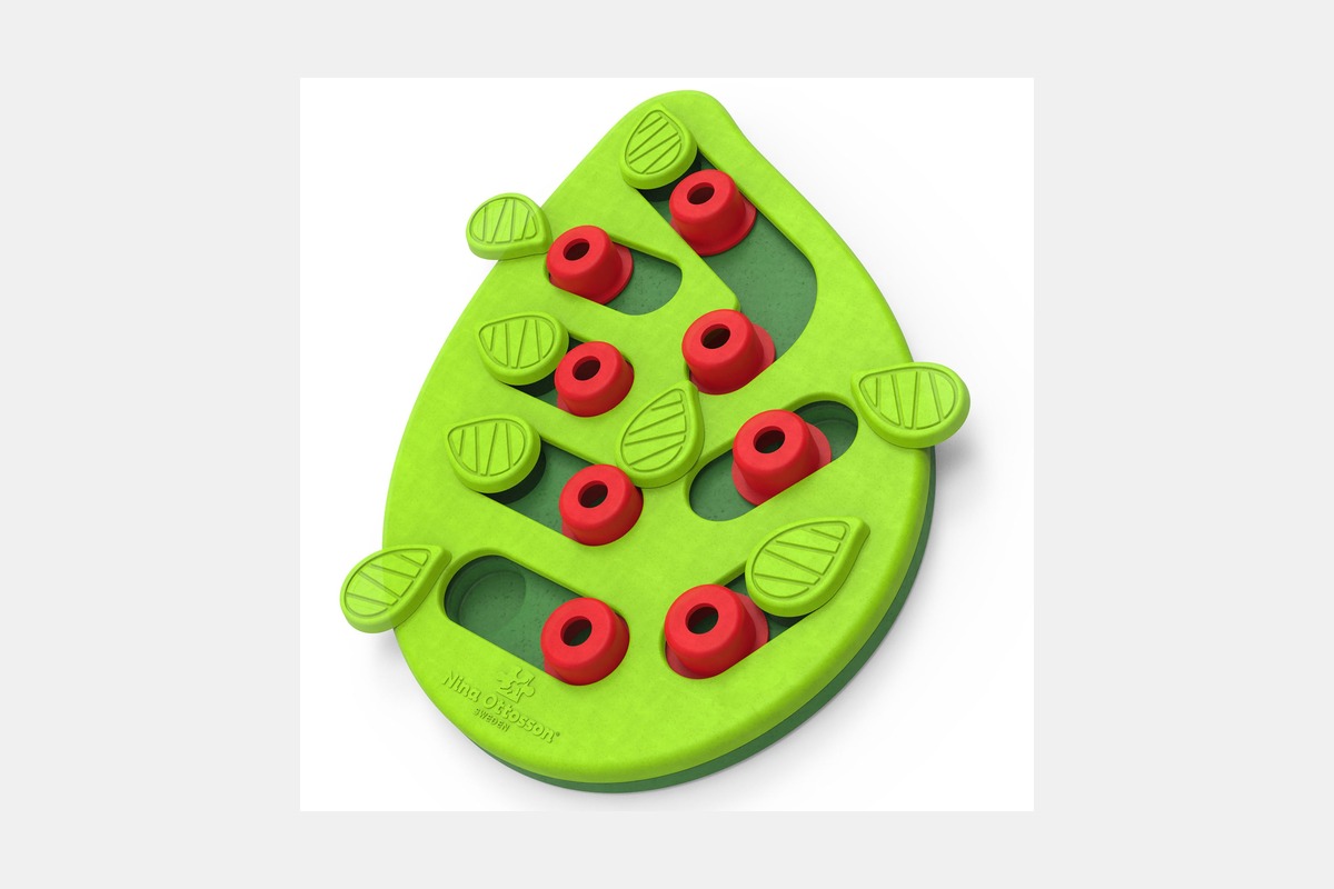 Nina Ottosson Buggin’ Out Puzzle