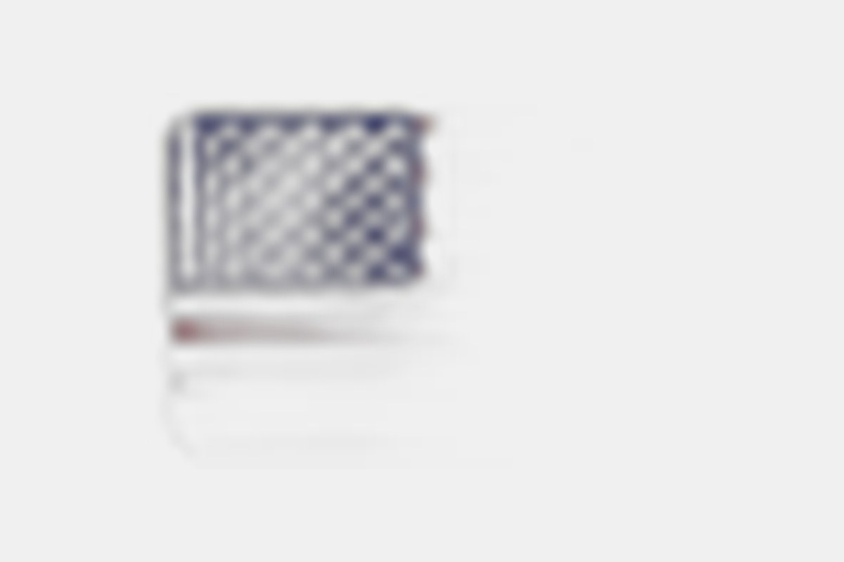 Proven Winners Color Full Like a Prayer Prayer Plant