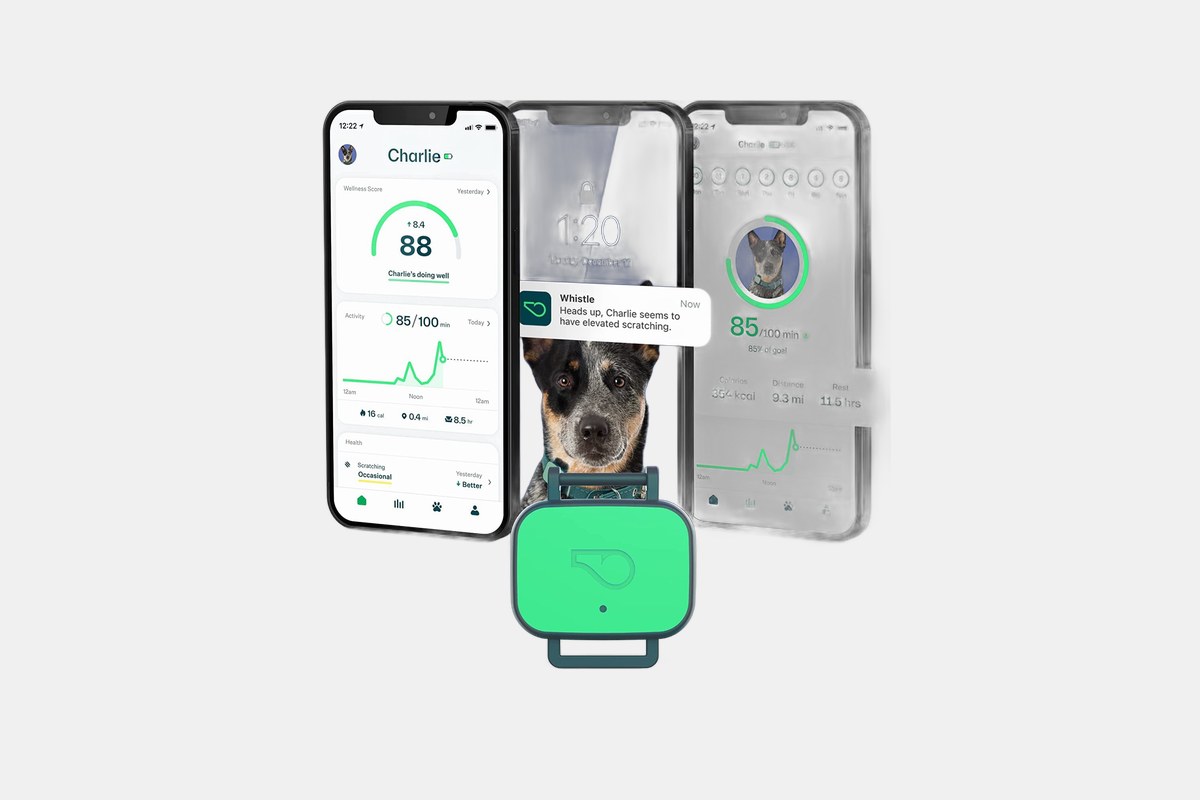 Whistle Health GPS Tracker